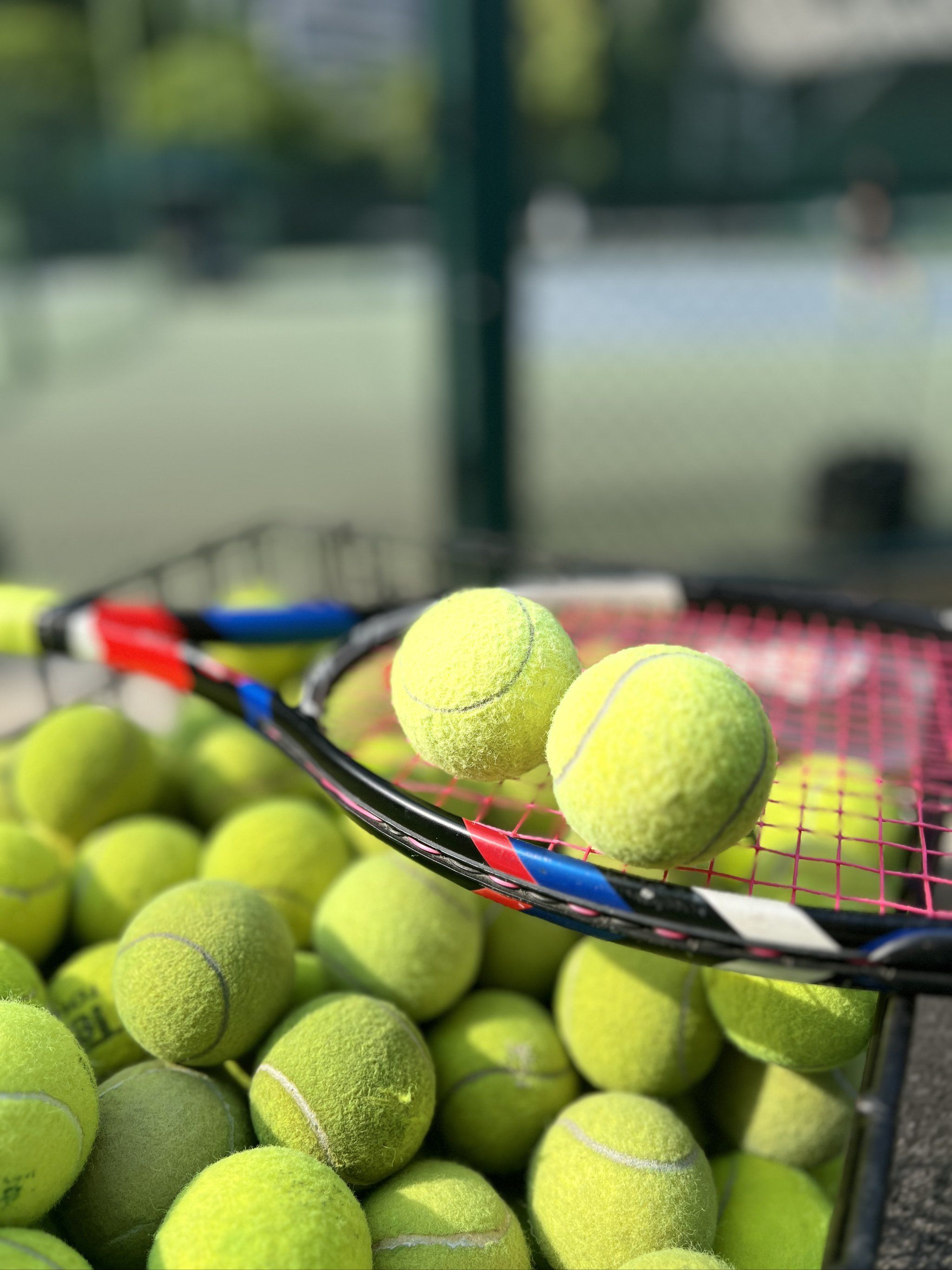 军的上海海 军的上海海