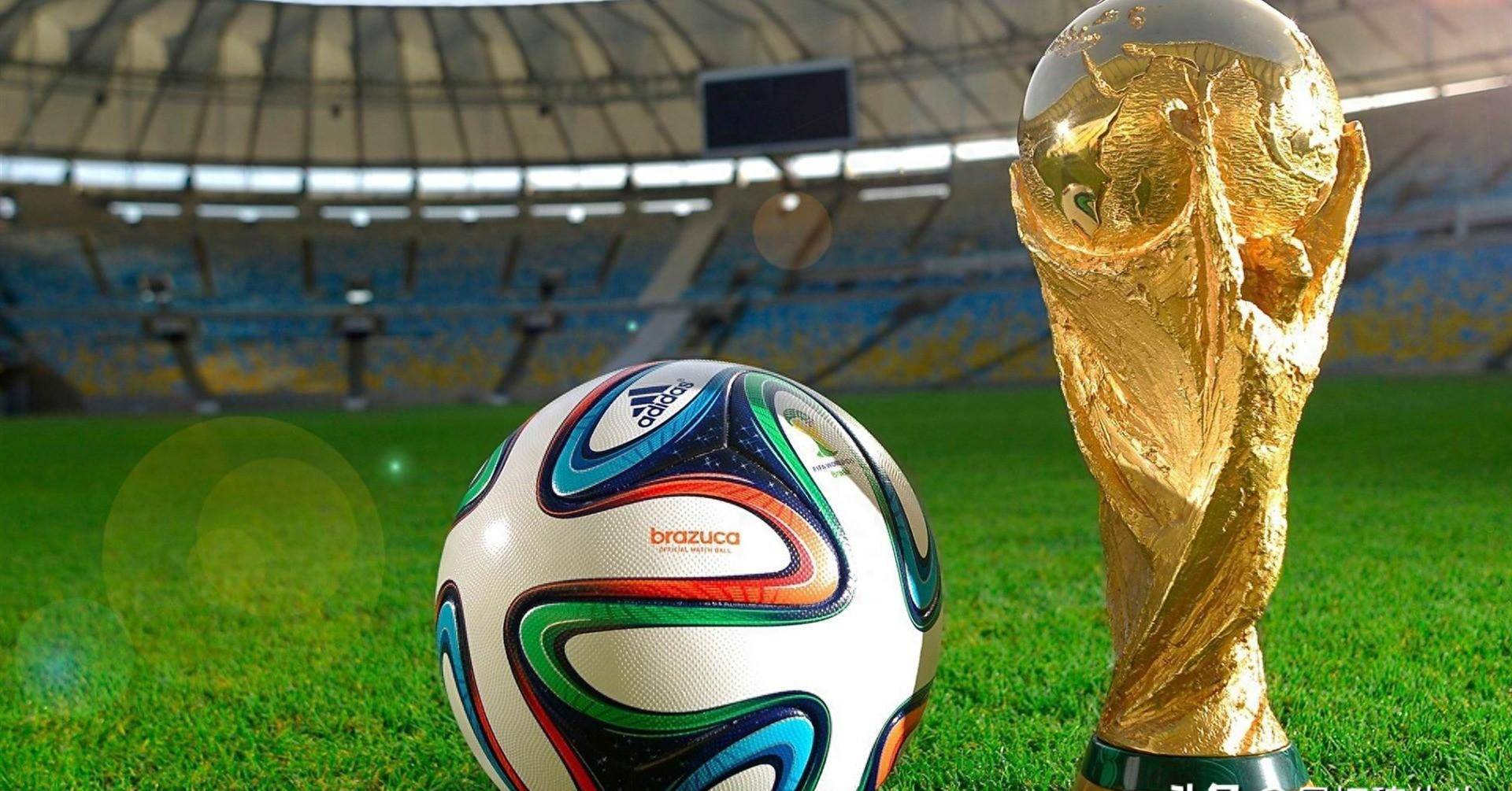 这位中卫具 这位中卫具